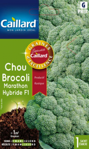 Chou brocoli Marathon hybride F1 - Graines - Caillard