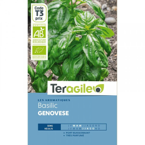 Basilic genovese Bio - Graines - Teragile