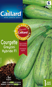 Courgette greyzini hybride F1 - Bio