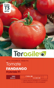 Tomate fandango hybride F1 - Graines - Teragile
