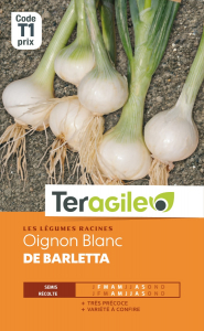 Oignon blanc de barletta - Graines - Teragile