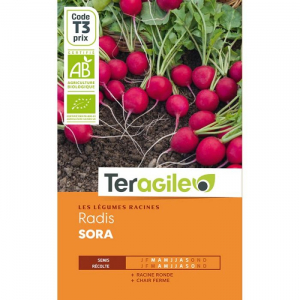 Radis rond rouge sora - Bio - Graines -Teragile