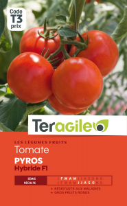 Tomate pyros hybride F1 - Graines - Teragile