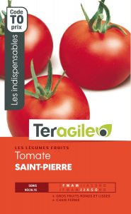 Tomate saint-pierre - Graines - Teragile