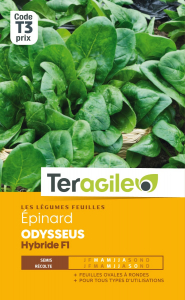 Epinard odysseus hybride F1 - Graines -Teragile