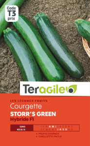 Courgette storr's green hybride F1 - Graines - Teragile
