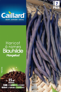 Haricot à rames mangetout blauhilde - Graines - Caillard