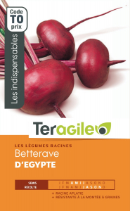 Bettrave d'égypte - Graines - Teragile