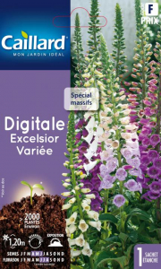 Digitale Excelsior - Graines - Caillard