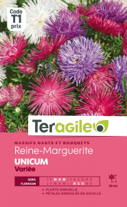 Reine-marguerite Unicum - Graines - Teragile