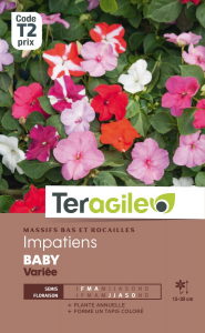 Impatiens Baby - Graines - Teragile
