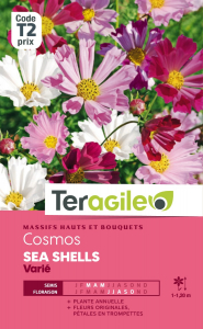 Cosmos Sea shells - Graines - Teragile