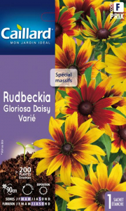 Rudbeckia Gloriosa daisy - Graines - Caillard