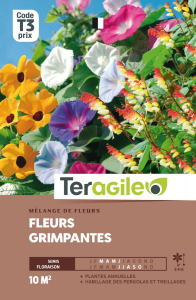 Mélange de fleurs grimpantes - Graines - Teragile