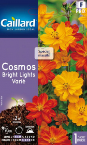 Cosmos Bright lights - Graines - Caillard