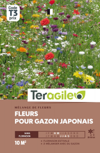 Fleurs pour gazon japonais - Graines - Teragile
