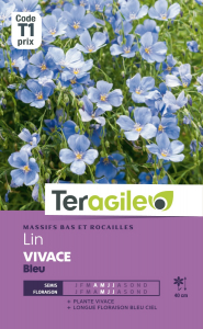 Lin vivace bleu - Graines - Teragile