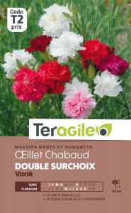 Oeillet Chabaud double - Graines - Teragile