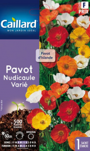 Pavot nudicaule - Graines - Caillard
