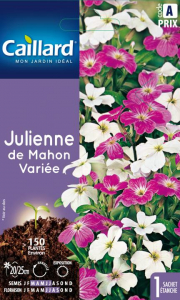 Julienne de Mahon - Graines - Caillard