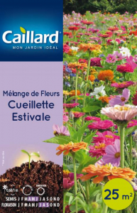 Mélange de fleurs Cueilette estivale - Graines - Caillard