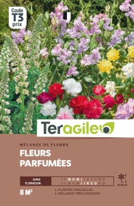 Mélange de fleurs d'été parfumées - Graines - Teragile