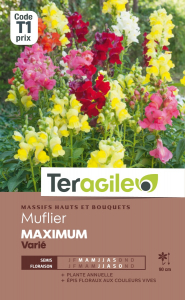 Mulfier Maximum - Graines - Teragile