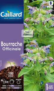 Bourrache officinale - Graines - Caillard