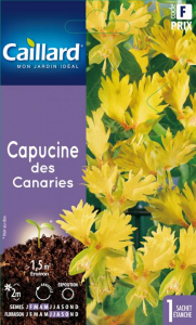 Capucine des Canaries - Teragile