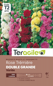Rose trémière double grande - Graines -Teragile