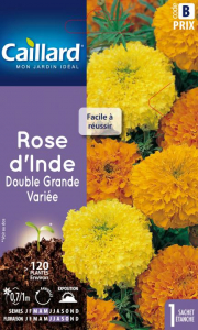 Rose d'Inde double grande - Graines - Caillard