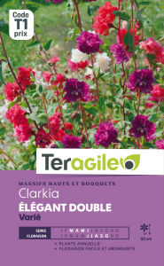 Clarkia elegant double - Graines - Teragile