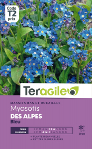 Myosotis des Alpes bleu - Graines - Teragile