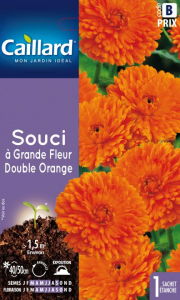 Souci à grande fleur double orange - Graines - Caillard