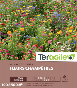 Mélange de fleurs champêtres- Graines de 100m² - Teragile