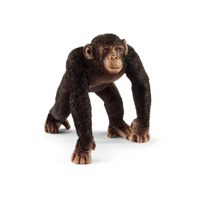 Figurine chimpanzé mâle - Schleich - 6.5 x 5.2 x 5.7 cm