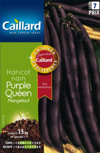 Haricot nain mangetout Purple queen - Graines - Caillard