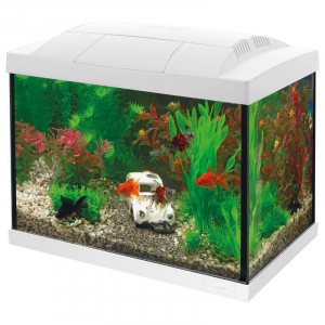 Aquarium en kit Start 20 - Goldfish - Blanc