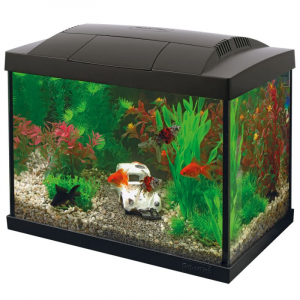 Aquarium en kit Start 20 - Goldfish - Noir