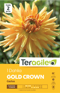Dahlia gold crown - Teragile - X1