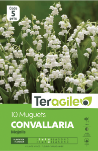 Muguets blancs - Teragile - X10