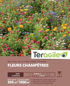 Mélange de fleurs champêtres pour jachère - Graines pour 300 m² - Teragile