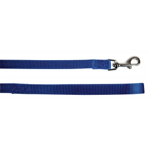 Laisse nylon pour chien - Zolux - 25 mm x 1 m - Bleu