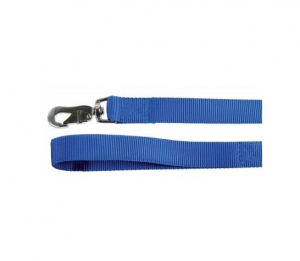 Laisse nylon XL pour chien - Zolux - 40 mm x 60 cm - Bleu