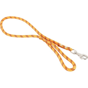 Laisse nylon Corde pour chien - Zolux - 6 m / 13 mm - Orange