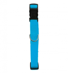 Collier Nylon réglable pour chien - Zolux - 15 mm - Bleu Turquoise