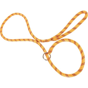 Laisse nylon Corde Lasso pour chien - Zolux - 1,80 m / 13 mm - Orange