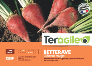 Betterave rouge - Teragile - 250 g