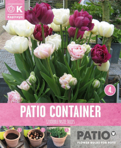 Tulipe double rose, mauve et blanc -Patio - X12 - Pour pot