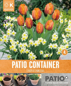 Tulipe orange - Narcisse cream - Gardencontainer - X20
